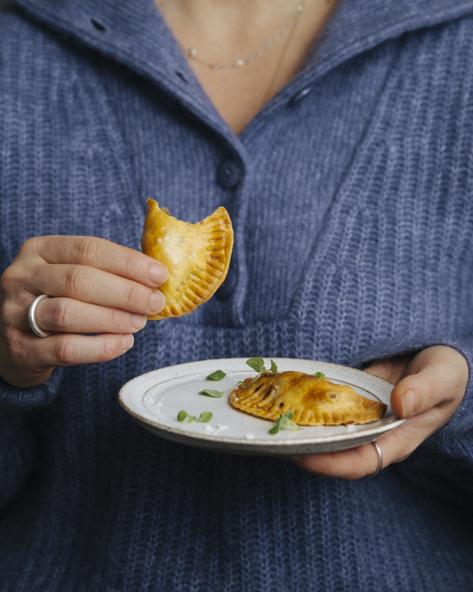 Recipe Empanadas - Delicious Empanadas - Ankarsrum