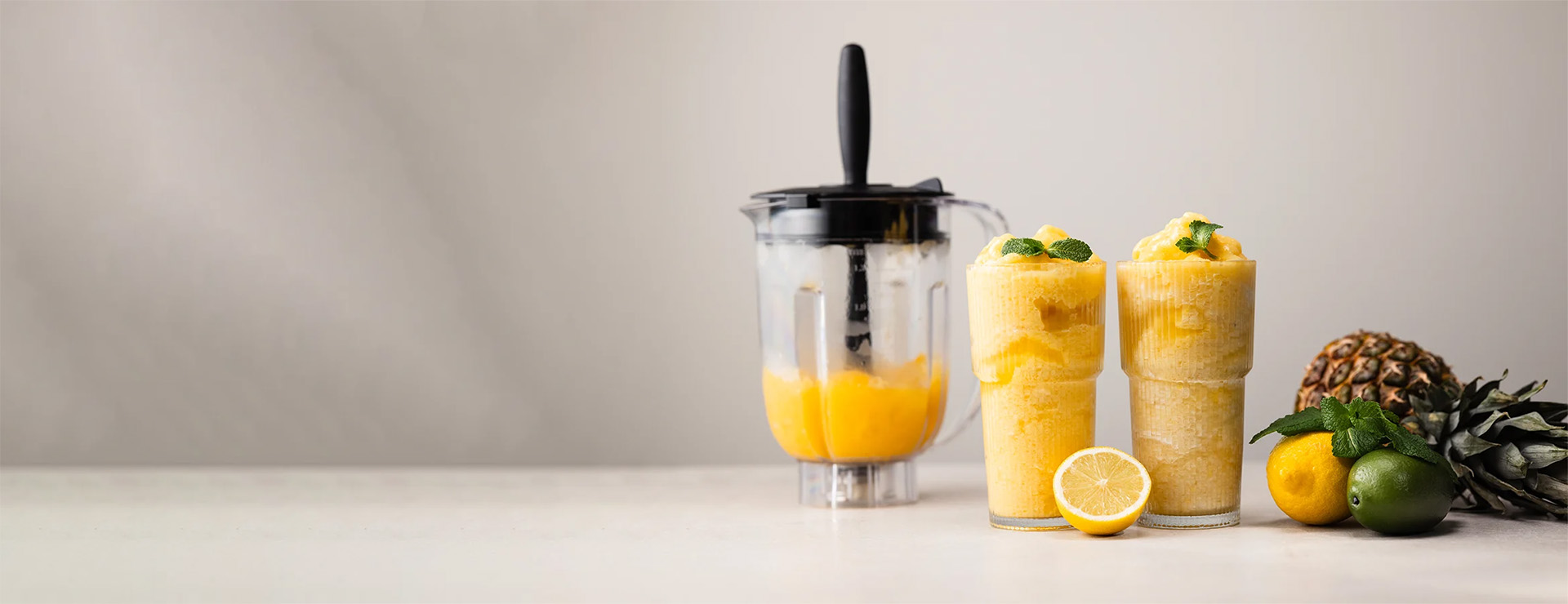 slider blender ankarsrum assistent