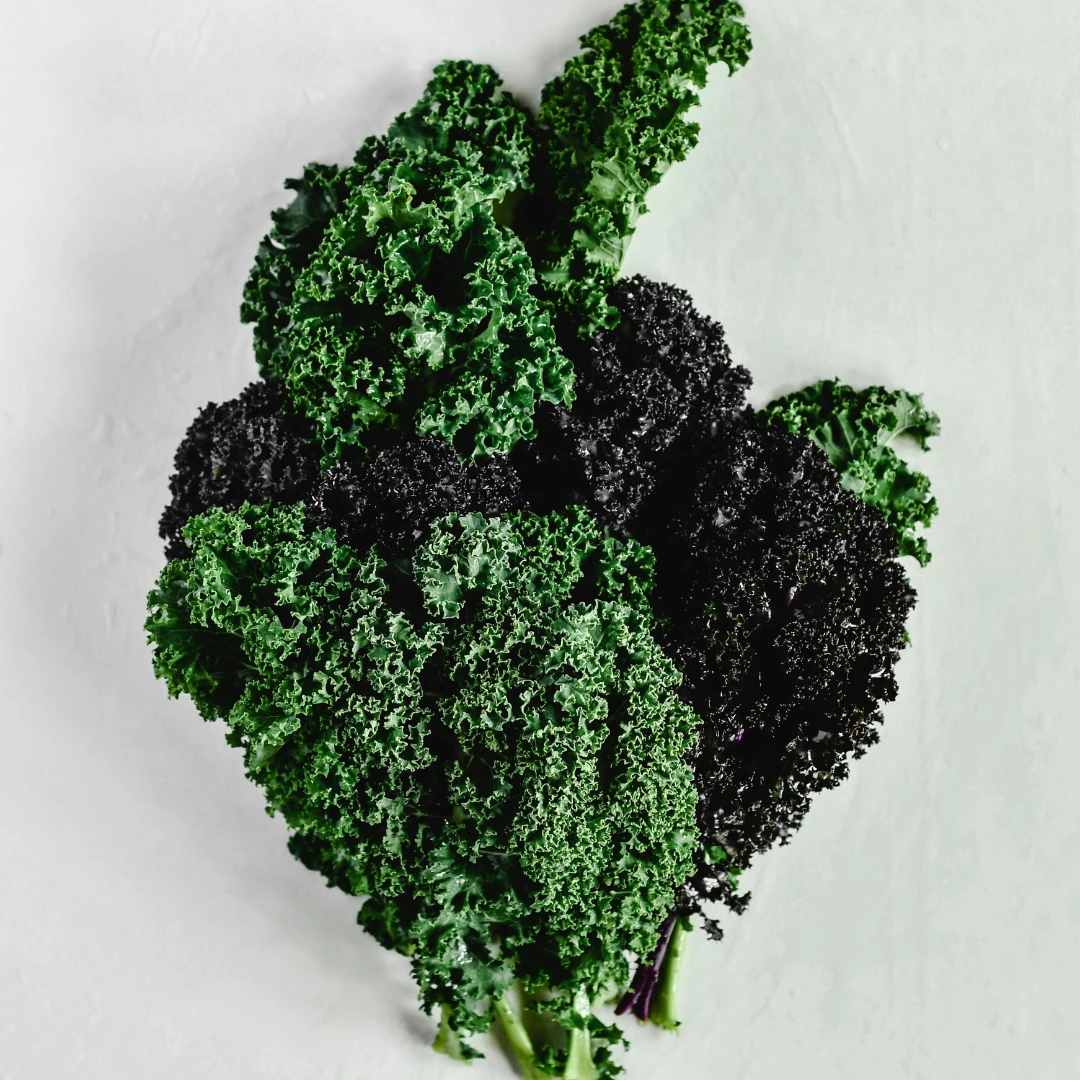 Färsk grönkål som används i Go Green-recept från Ankarsrum.