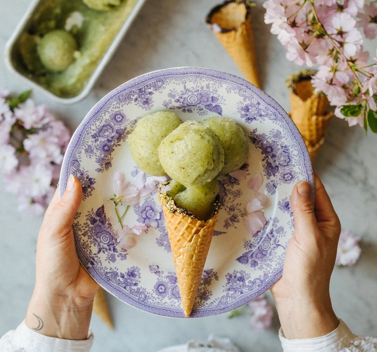 Hands holding a floral plate with kiwi ice cream scoops on a waffle cone, made with Ankarsrum stand mixer.