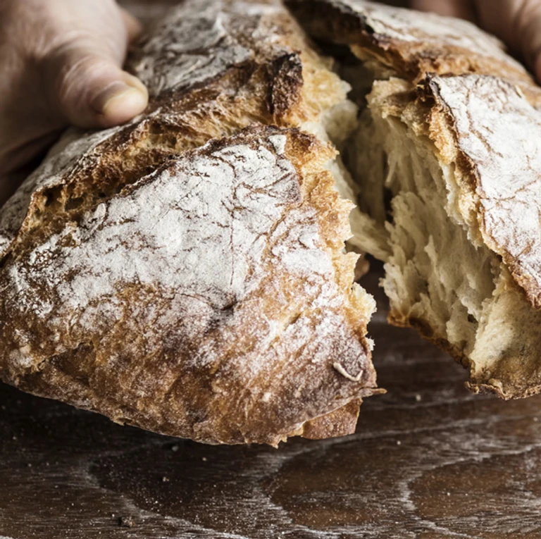Hands breaking apart a freshly baked rustic sourdough bread loaf with a crispy golden crust dusted with flour.