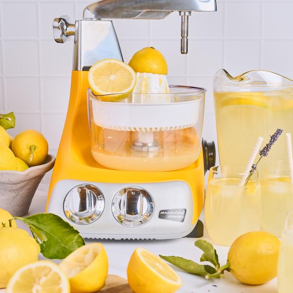 What is better on a hot summer day than a glass of ice cold lemonade? You make this super tasty lemonade yourself with our citrus press!