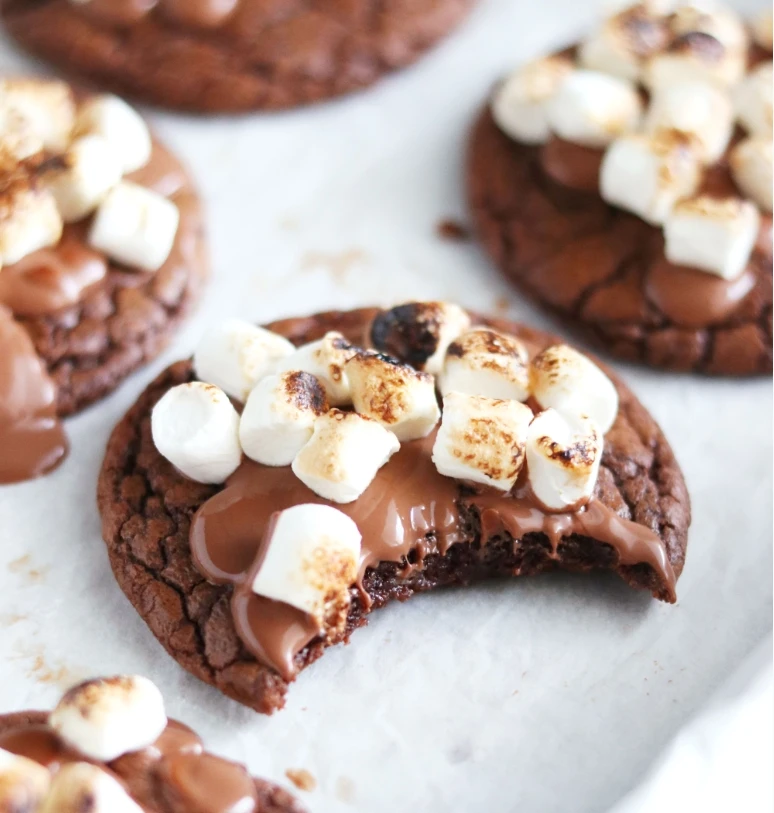 Fudgy chocolate cookies topped with melted chocolate and toasted mini marshmallows, one with a bite taken out showing gooey center.
