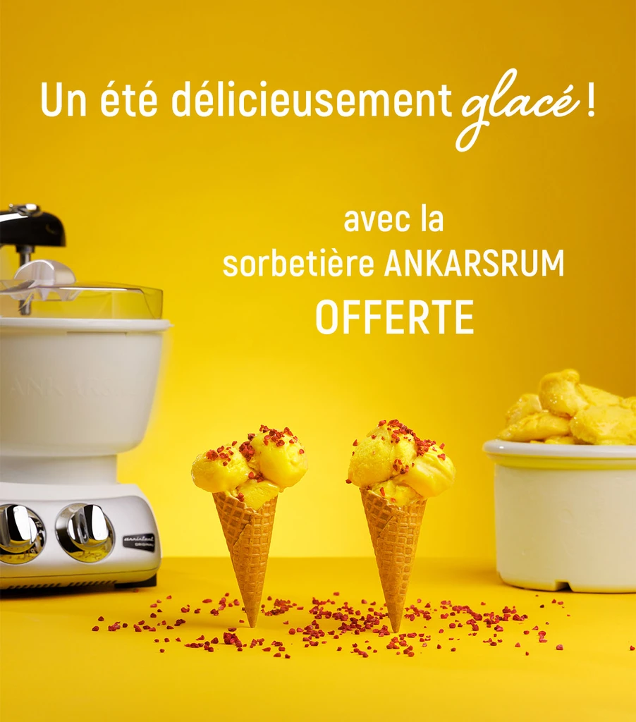 sorbetière glaces avec robot ankasrum assistent offre