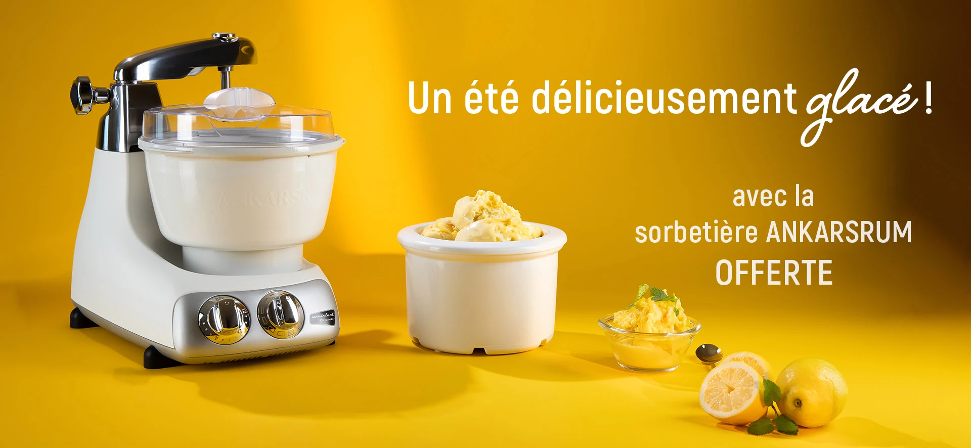 offre sorbetière glaces avec robot ankasrum assistent