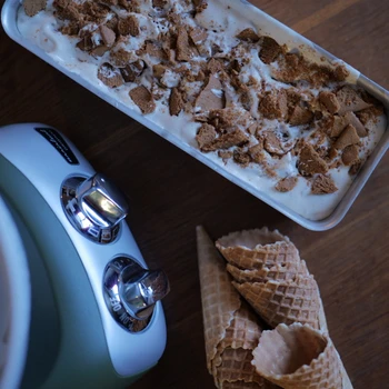 Gingerbread ice cream in a glass with crushed gingerbread cookies as decoration.