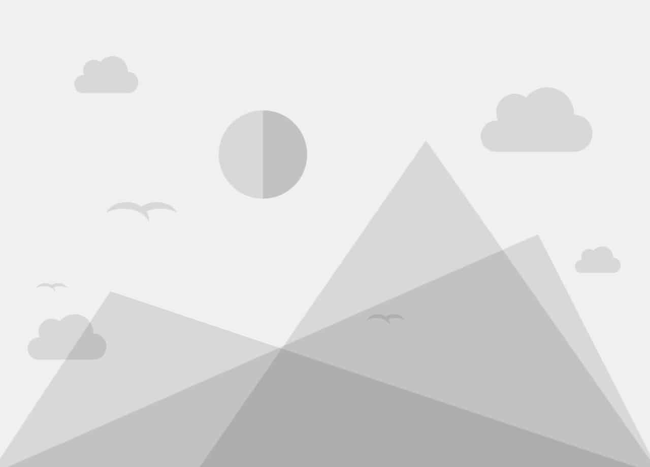 Ankarsrum Masterclass Dough hook Ankarsrum Global